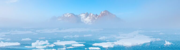 arctic header